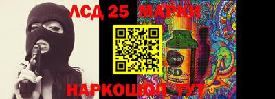 PSILOCYBIN Новодвинск