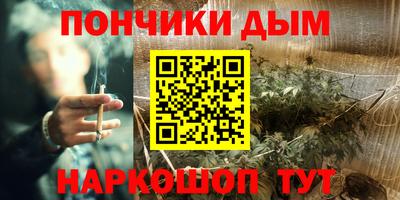 PSILOCYBIN Новодвинск