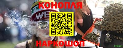 винт Новозыбков